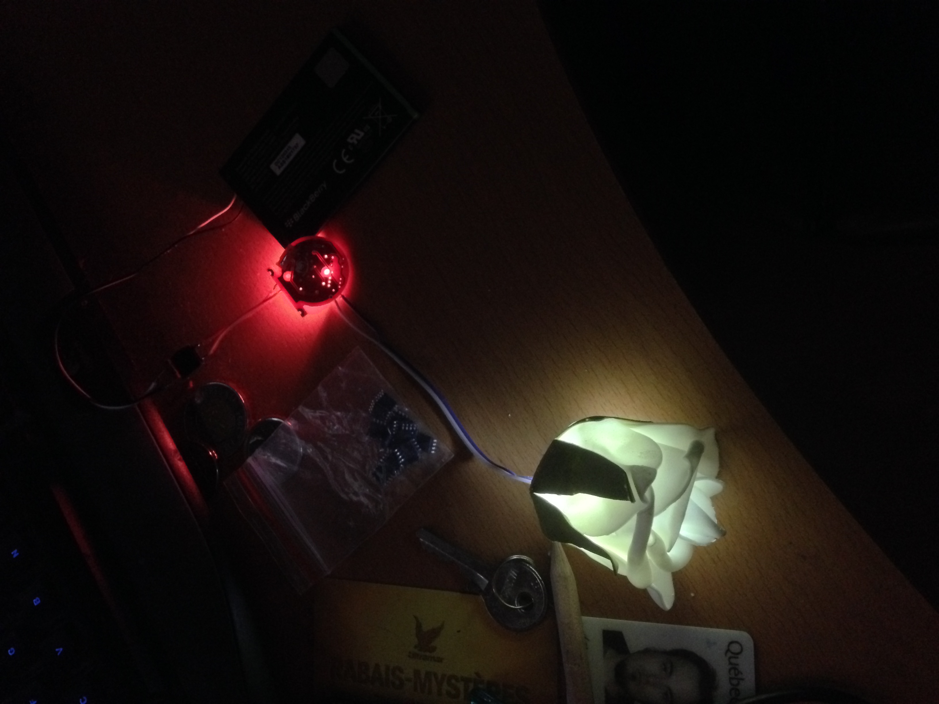 lantern flower test